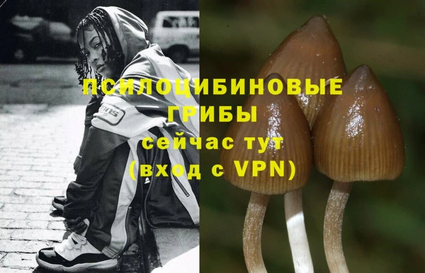 mix Алексин