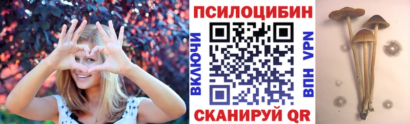 Галлюциногенные грибы Psilocybine cubensis  как найти закладки  Неман 